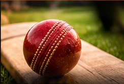 Cricket